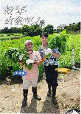 看片大全 大侦探